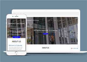 项目产品解决方案HTML网页模板下载 - 简单网创项目资源网