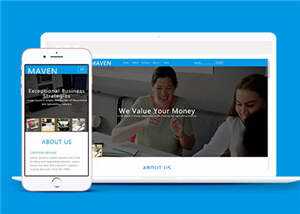 专业咨询服务展示HTML网页模板下载 - 简单网创项目资源网