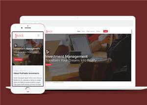 股票金融分析团队HTML网页模板下载 - 简单网创项目资源网