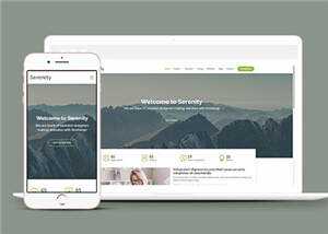 简约业务服务动态响应式网页模板 - 简单网创项目资源网