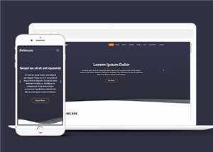 简约业务团队动态响应式网页模板 - 简单网创项目资源网