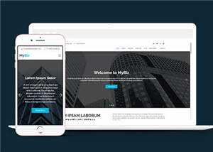 商务代理项目服务响应式网页模板 - 简单网创项目资源网