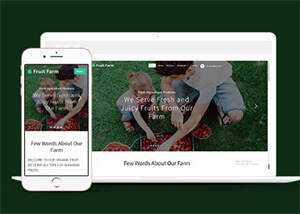 新鲜农产品类公司网站模板下载 - 简单网创项目资源网