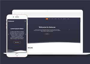 简约业务团队动态响应式网页模板下载 - 简单网创项目资源网