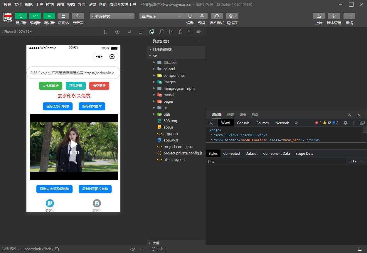 短视频去水印和图片加水印生成微信小程序源码 - 简单网创项目资源网