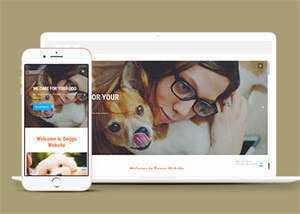 宠物美容服务公司网站模板源码 - 简单网创项目资源网