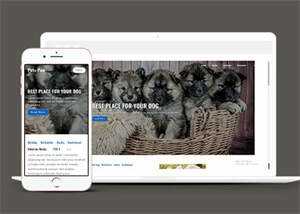 关于宠物狗销售网站模板下载 - 简单网创项目资源网