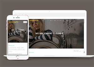 简洁服装洗涤清洗公司网站模板 - 简单网创项目资源网