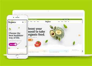 蔬菜水果商店网站响应式模板下载 - 简单网创项目资源网