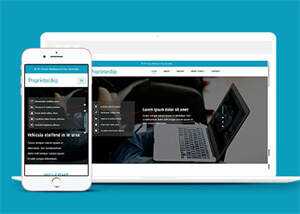 淘宝详情页制作响应式网站模板 - 简单网创项目资源网