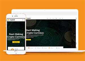 比特币加密货币类网站模板下载 - 简单网创项目资源网