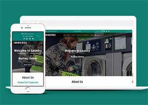 响应式滚筒洗衣机企业网站模板 - 简单网创项目资源网