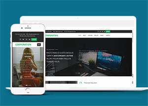 响应式财务管理公司网站模板 - 简单网创项目资源网