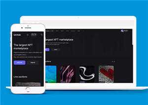 宽屏数字市场交易平台网站模板下载 - 简单网创项目资源网
