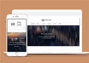简约专业服务信息在线企业网页模板下载 - 简单网创项目资源网