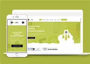 绿色排名优化公司源码模板下载 - 简单网创项目资源网