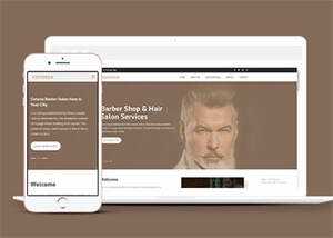 明星御用发型师网站模板下载 - 简单网创项目资源网