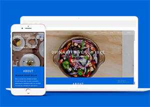 大气美食制作类网站模板下载 - 简单网创项目资源网