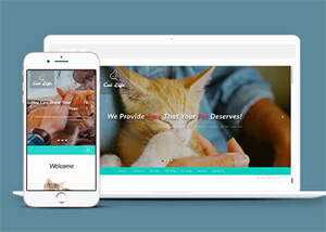 流浪动物领养中心网站模板 - 简单网创项目资源网