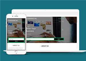 简洁商业贸易服务展示HTML网页模板下载 - 简单网创项目资源网