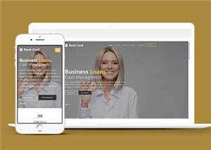 宽屏商业信贷服务公司响应式网站模板下载 - 简单网创项目资源网