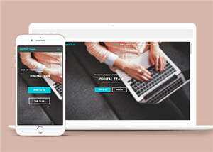 简洁数字团队服务展示响应式网页模板下载 - 简单网创项目资源网