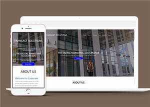 简约公司项目解决方案HTML网页模板下载 - 简单网创项目资源网