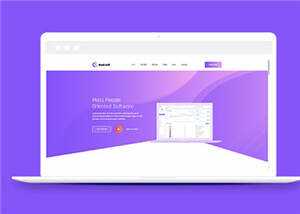 简约软件开发企业网站模板下载 - 简单网创项目资源网