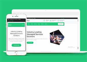 互联网增值服务公司网站模板下载 - 简单网创项目资源网