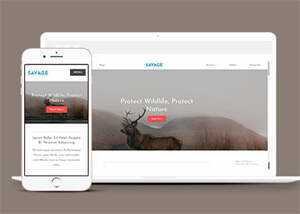保护野生动物响应式网站模板下载 - 简单网创项目资源网