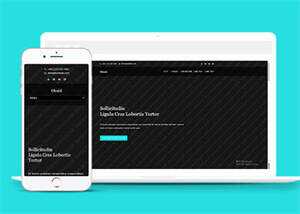 旅游景点展示类网站模板下载 - 简单网创项目资源网