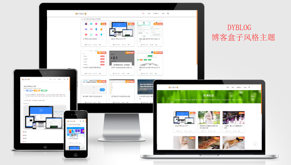 Emlog主题-DYBLOG 个人博客主题模版 - 简单网创项目资源网