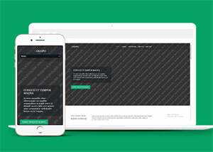 响应式野外游泳爱好者网站模板 - 简单网创项目资源网