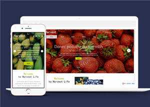 响应式果蔬大棚企业源码模板下载 - 简单网创项目资源网