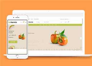 简洁蔬菜水果超市电商网站模板源码下载 - 简单网创项目资源网