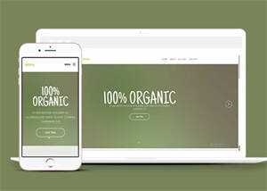 简洁绿色主题公司网站模板下载 - 简单网创项目资源网