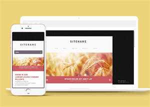 宽屏粉色个人博客主页网站模板 - 简单网创项目资源网