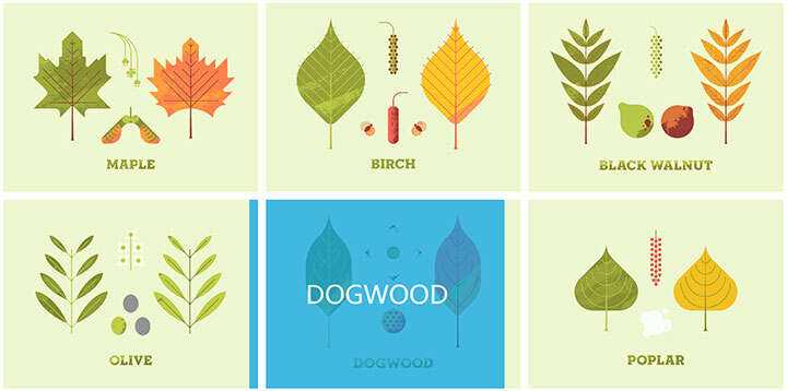 jQuery列表图片鼠标悬停感知方向遮罩层移动特效 - 简单网创项目资源网