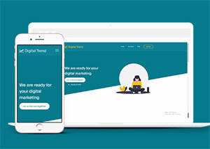 宽屏保险公司客户服务网站模板 - 简单网创项目资源网