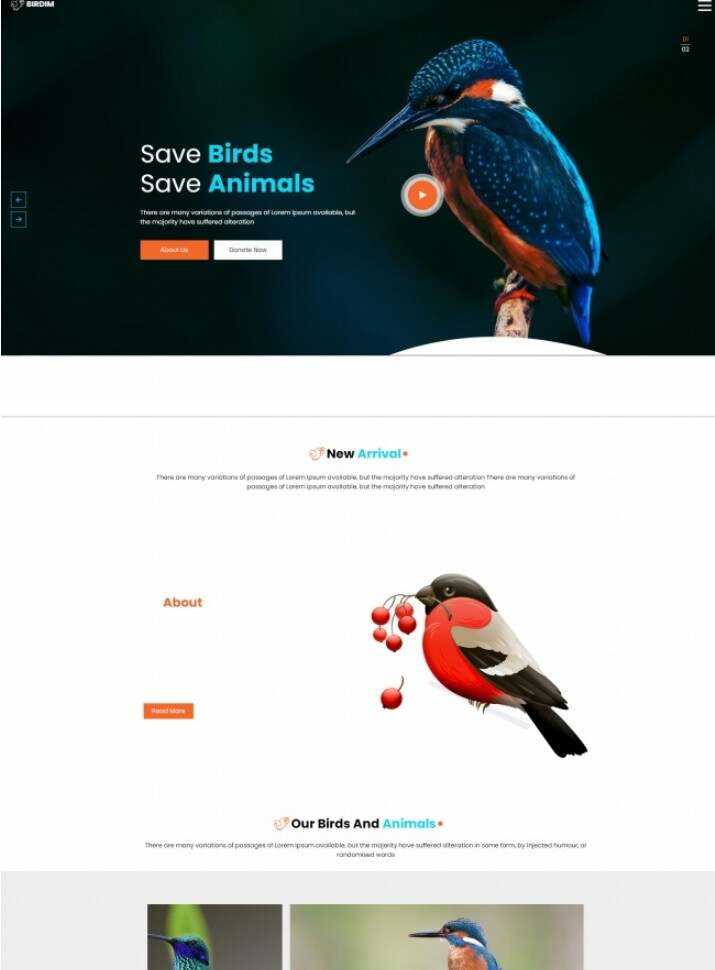 拯救鸟类拯救动物HTML5网站模板 - 简单网创项目资源网