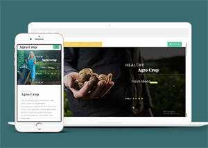 足球运动直播网站响应式模板 - 简单网创项目资源网