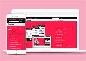 宽屏国外别墅类销售网站模板 - 简单网创项目资源网