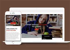 简洁图书馆在线书城网站模板 - 简单网创项目资源网