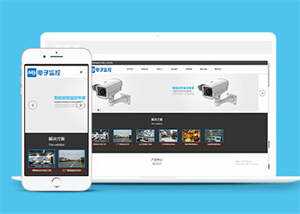 响应式数字防盗类网站前端模板 - 简单网创项目资源网