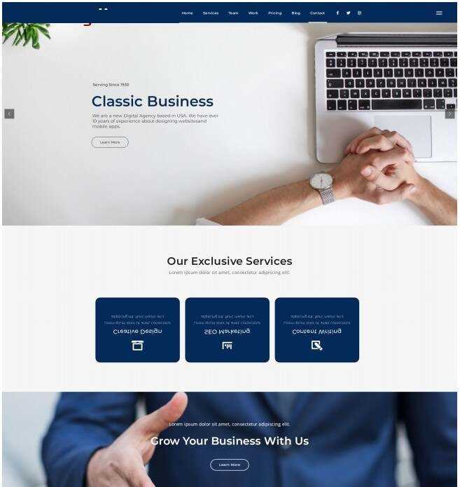 品牌设计数据营销机构网站模板 - 简单网创项目资源网