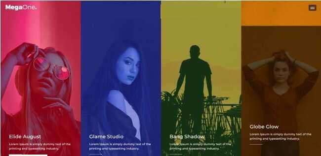 演唱会嘉宾宣传介绍网页模板 - 简单网创项目资源网