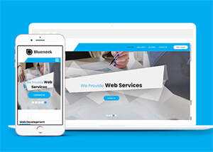 移动应用开发公司网站模板下载 - 简单网创项目资源网