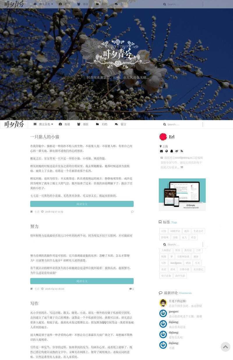 wordpress极简优秀的博客主题–ErlSimpleV1.5主题 - 简单网创项目资源网