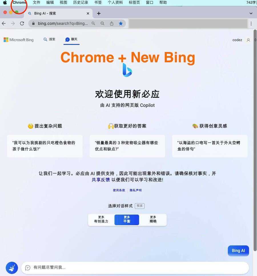 微软New Bing完美聊天机器人源码，支持ChatGPT提示词 国内可用，基本兼容微软 Bing AI 所有功能 - 简单网创项目资源网