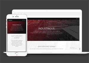 响应式前端框架skin网站模板 - 简单网创项目资源网